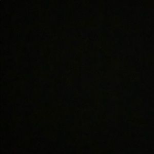 Meet your Posher, Bella